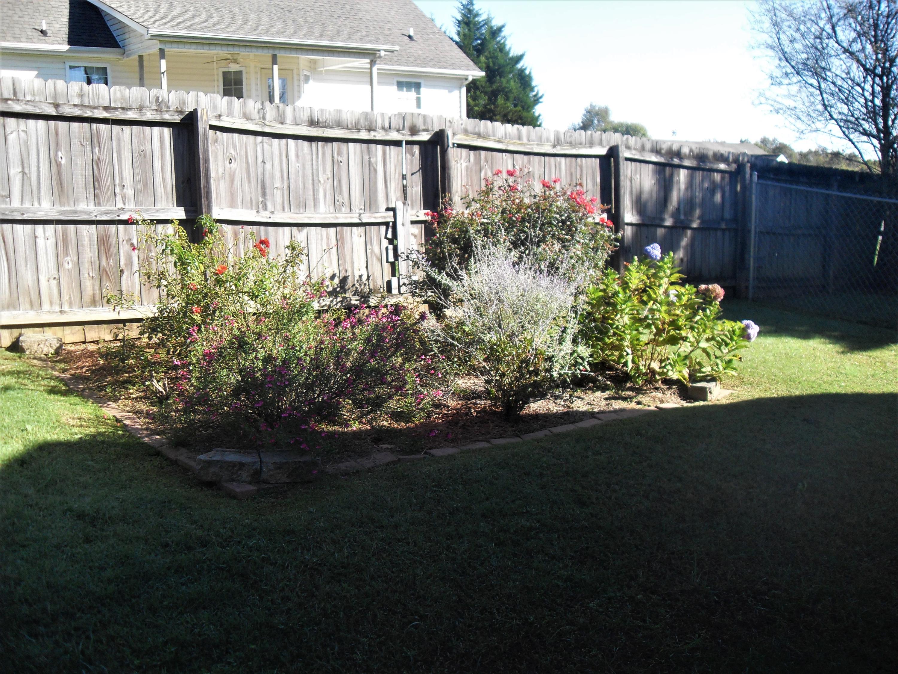 3718 Salem Valley Road Ringgold, GA 30736 - Photo 14 of 46 Side yard