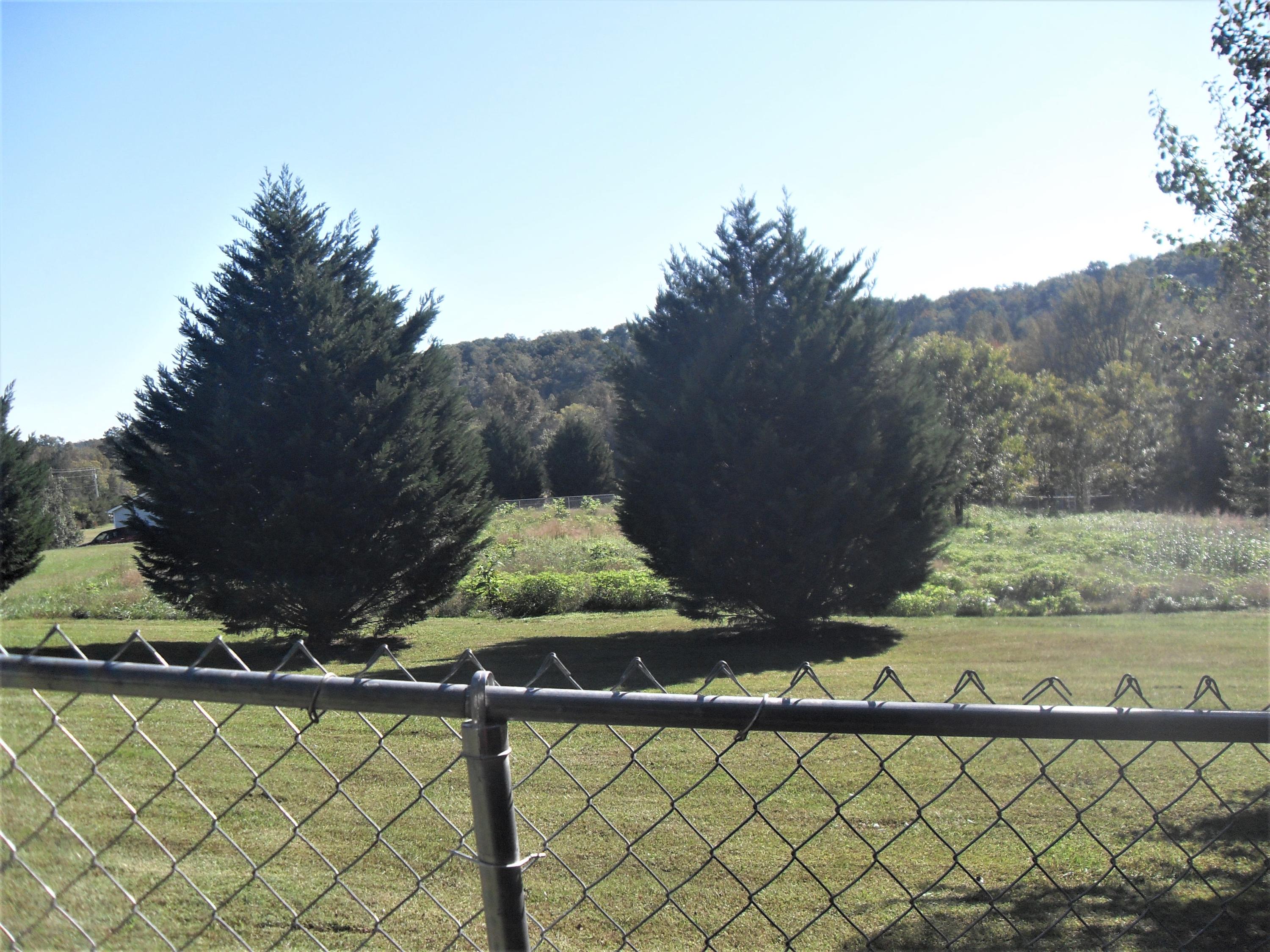 3718 Salem Valley Road Ringgold, GA 30736 - Photo 16 of 46 Back Yard