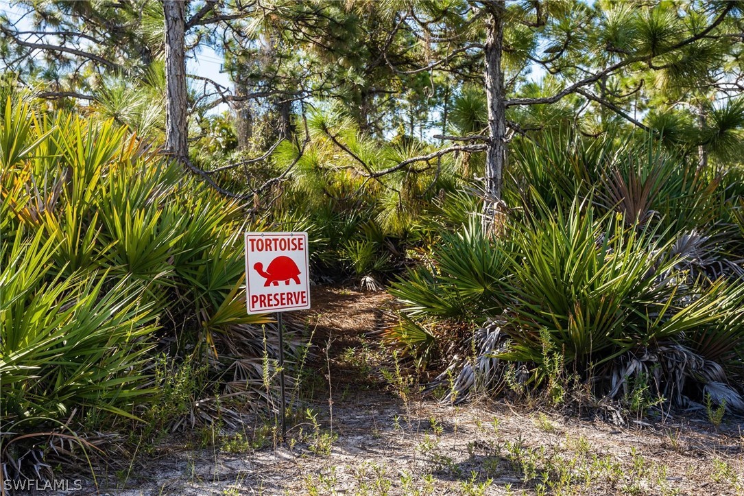 6070 Calusa Rdg Trail Bokeelia, FL 33922 - Photo 13 of 20 Gallery Image 13