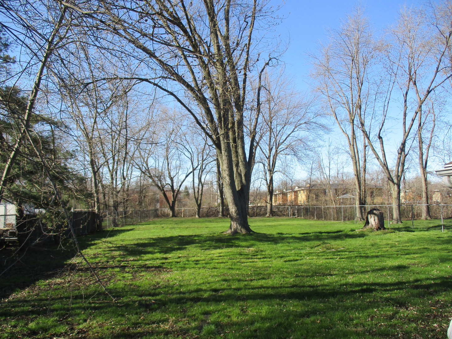 2810 186th Street Lansing, IL 60438 - Photo 4 of 14 a garden view with trees