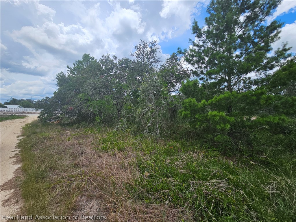 1755 Nantucket Road Avon Park, FL 33825 - Photo 11 of 13