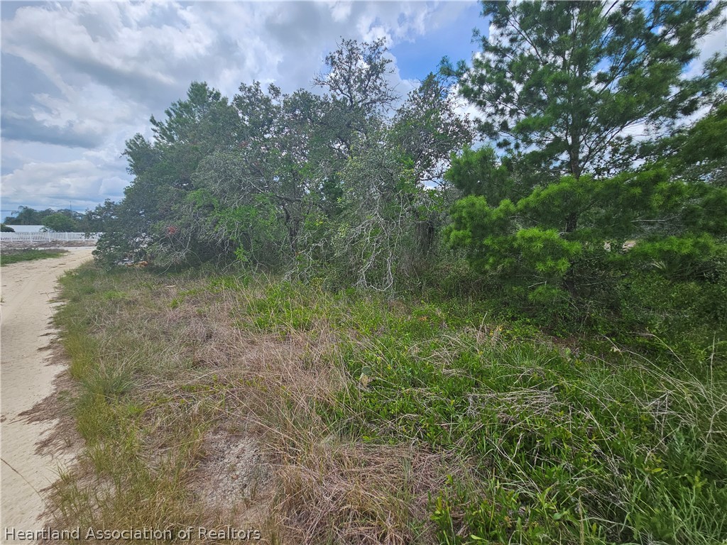 1755 Nantucket Road Avon Park, FL 33825 - Photo 12 of 13