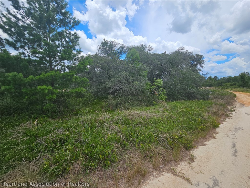 1755 Nantucket Road Avon Park, FL 33825 - Photo 13 of 13