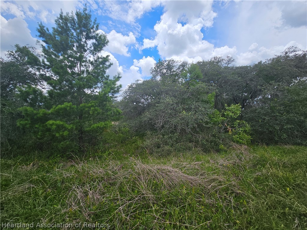 1755 Nantucket Road Avon Park, FL 33825 - Photo 3 of 13