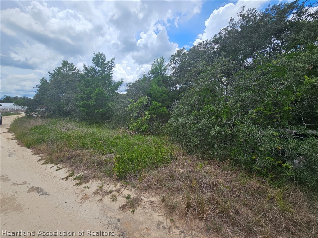 1755 Nantucket Road Avon Park, FL 33825 - Photo 4 of 13