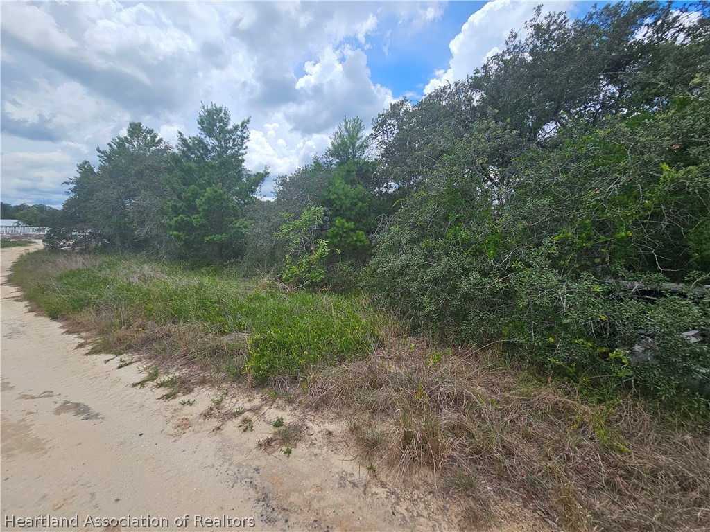 1755 Nantucket Road Avon Park, FL 33825 - Photo 6 of 13