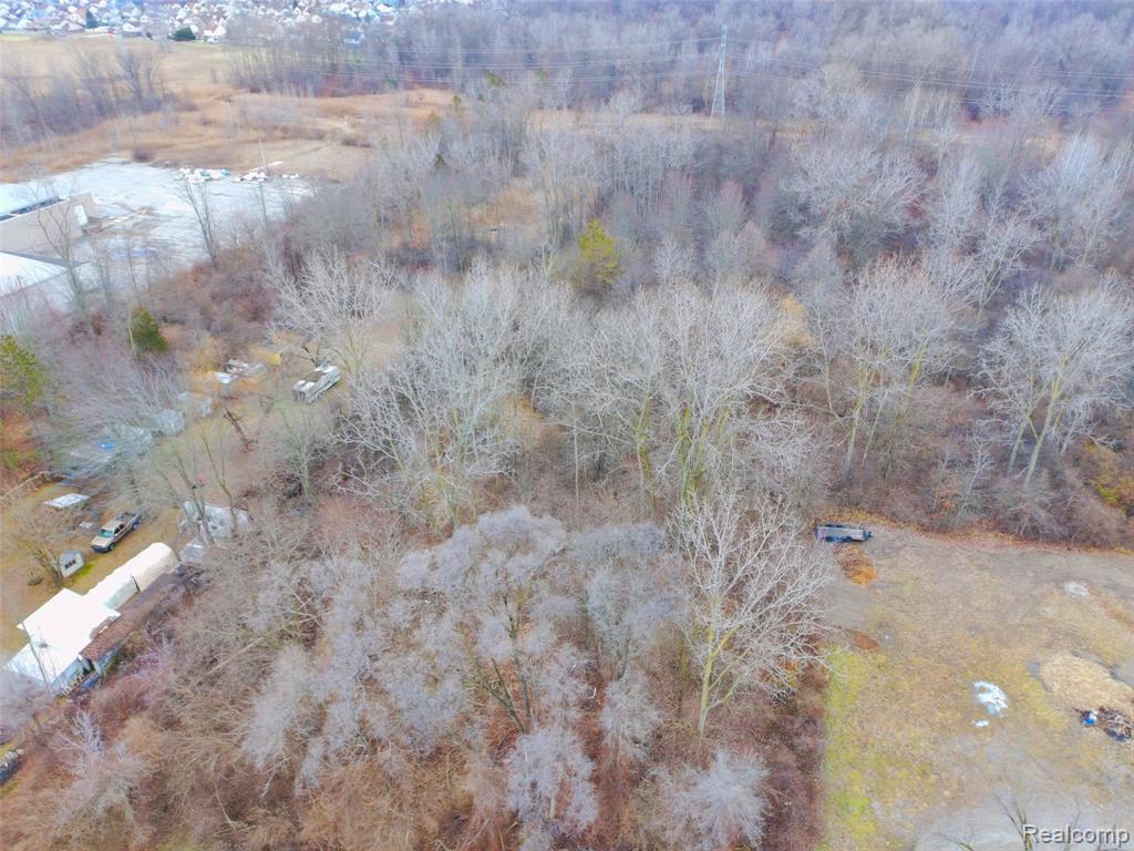 21650 Telegraph Road Flat Rock, MI 48134 - Photo 62 of 70