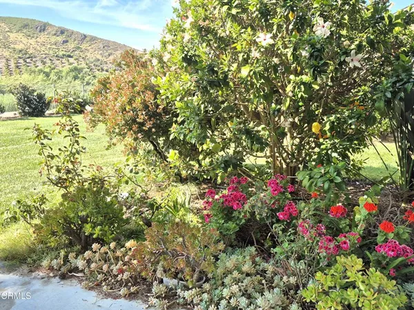 a view of a yard with an outdoor space