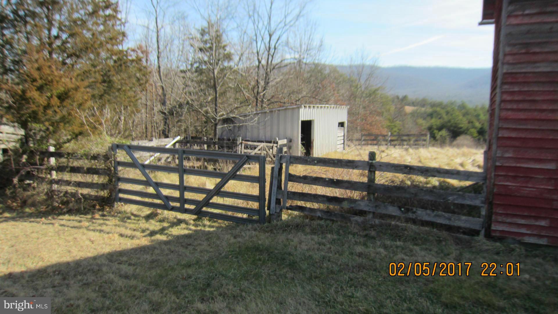 161 7 Fountains Road Fort Valley, VA 22652 - Photo 3 of 26 Exterior (Rear)