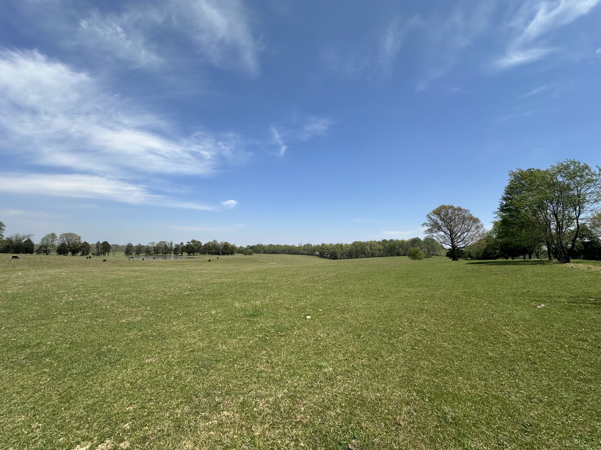 0 Zeb Warren Road Cookeville, TN 38506 - Photo 1 of 22 Gallery Image 1