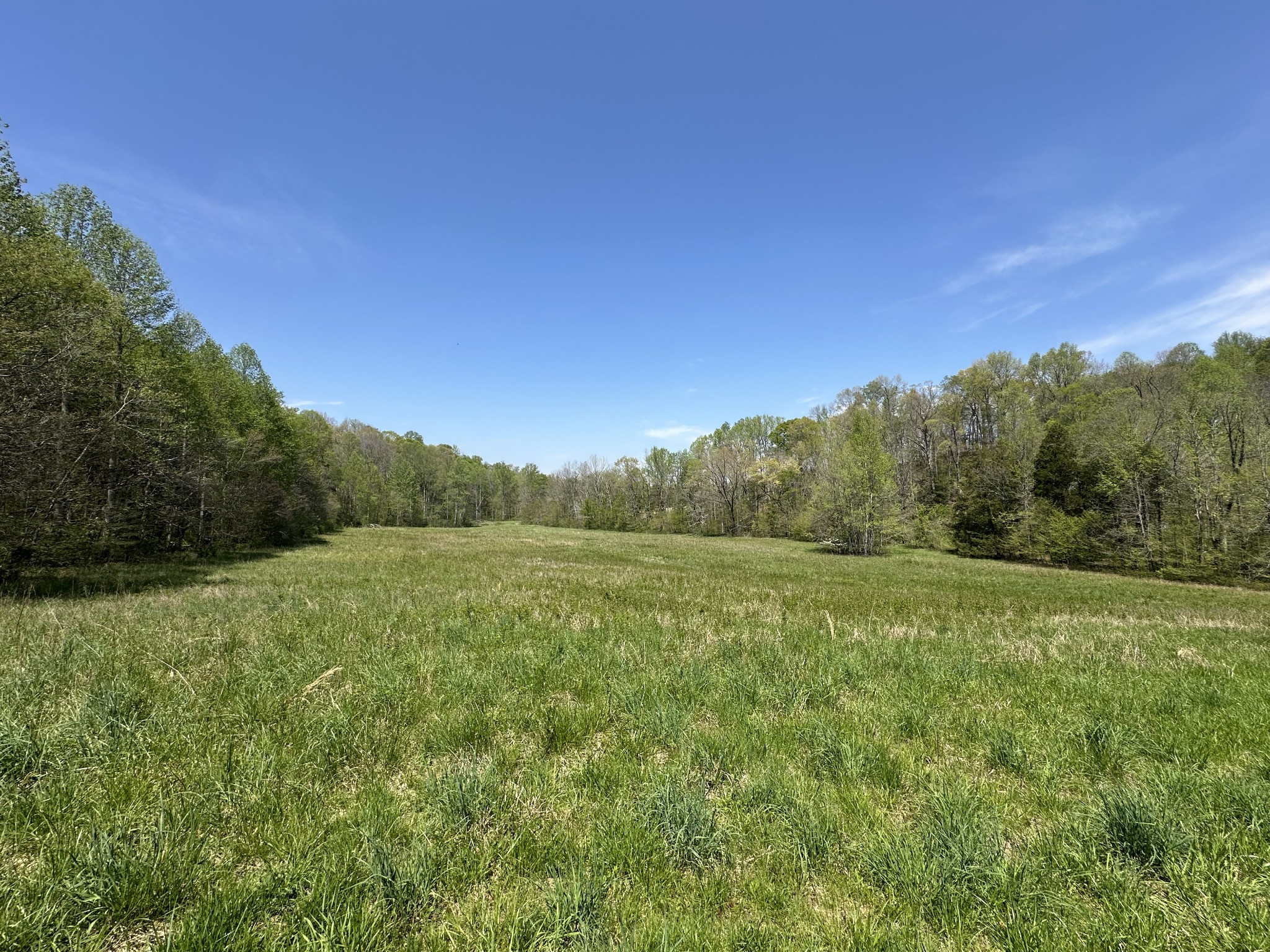 0 Zeb Warren Road Cookeville, TN 38506 - Photo 17 of 22 Gallery Image 17