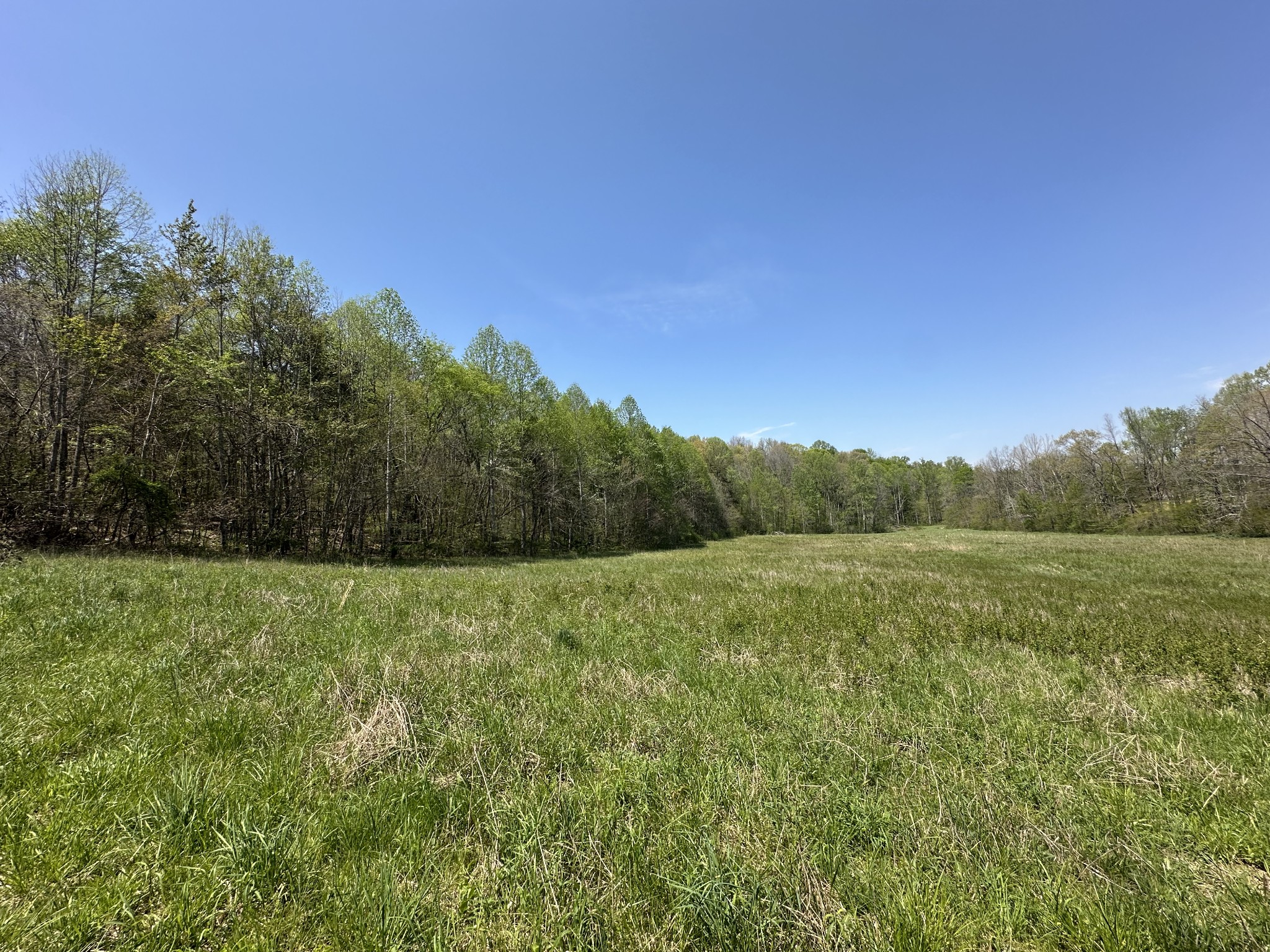 0 Zeb Warren Road Cookeville, TN 38506 - Photo 18 of 22 Gallery Image 18