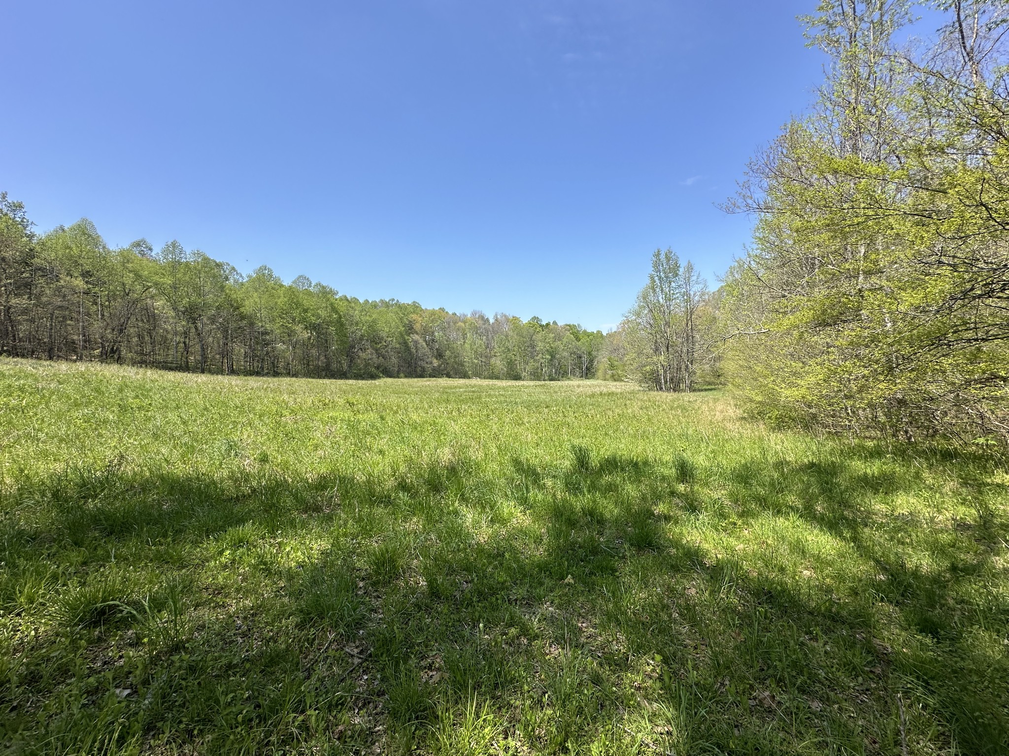 0 Zeb Warren Road Cookeville, TN 38506 - Photo 19 of 22 Gallery Image 19
