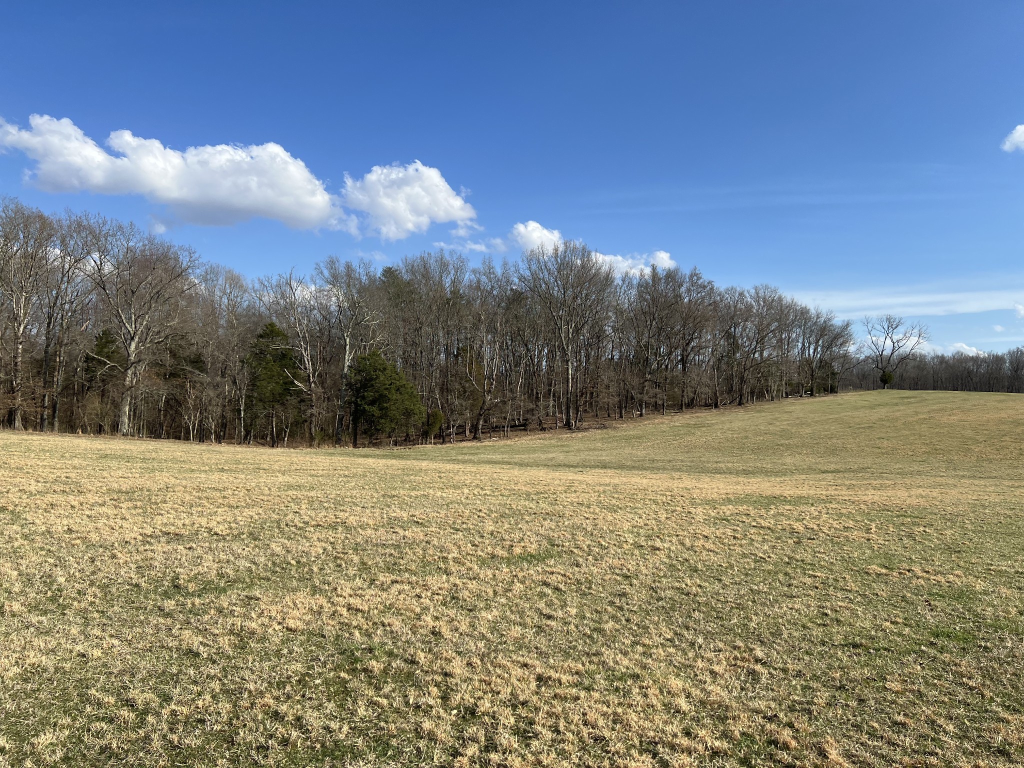 0 Zeb Warren Road Cookeville, TN 38506 - Photo 20 of 22 Gallery Image 20