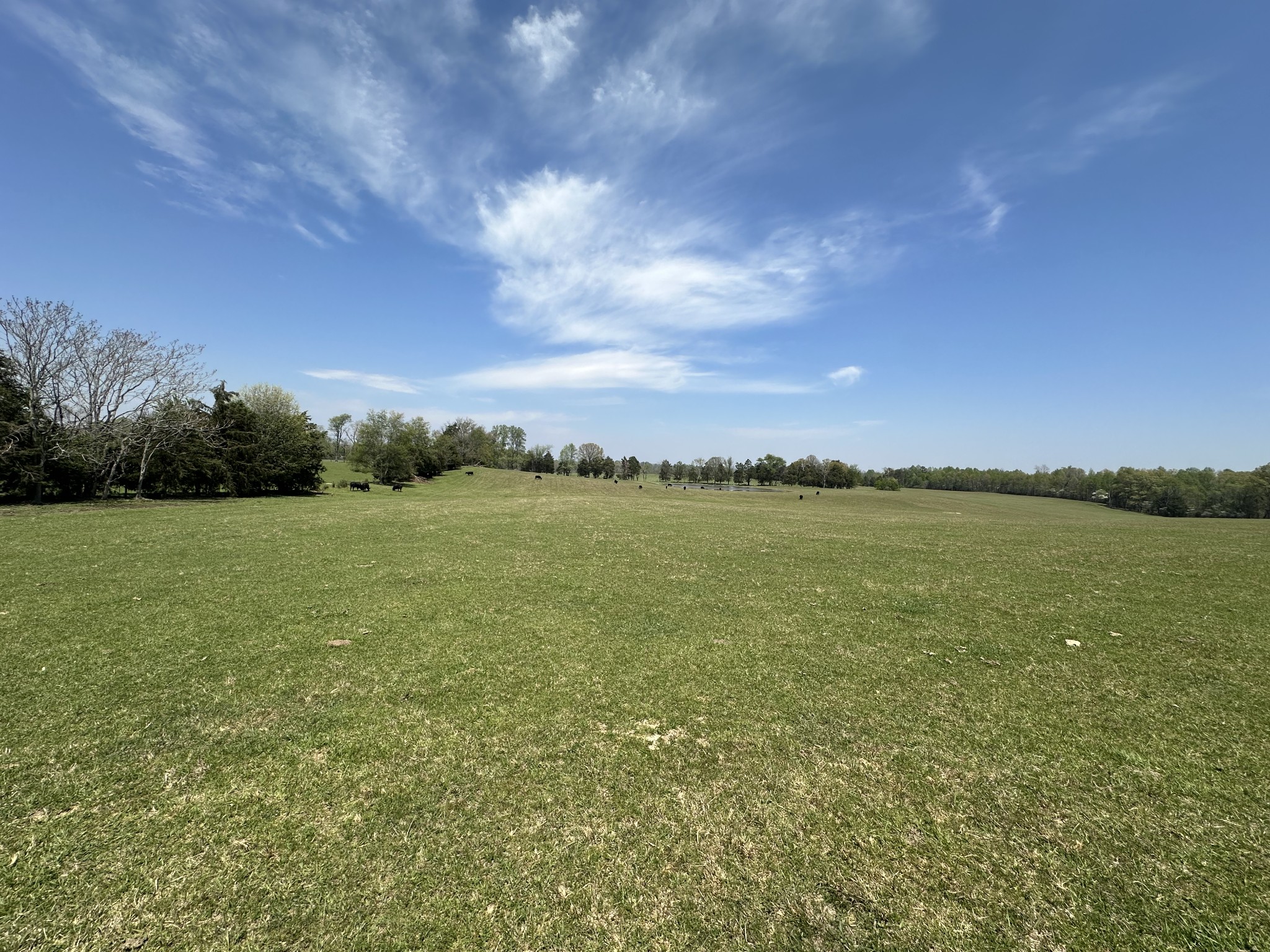 0 Zeb Warren Road Cookeville, TN 38506 - Photo 2 of 22 Gallery Image 2