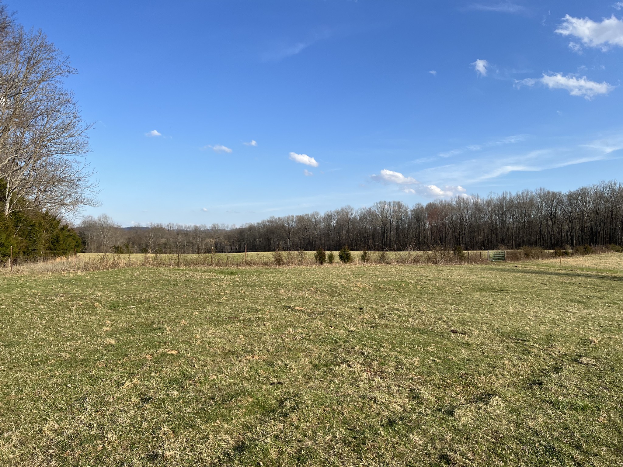 0 Zeb Warren Road Cookeville, TN 38506 - Photo 21 of 22 Gallery Image 21