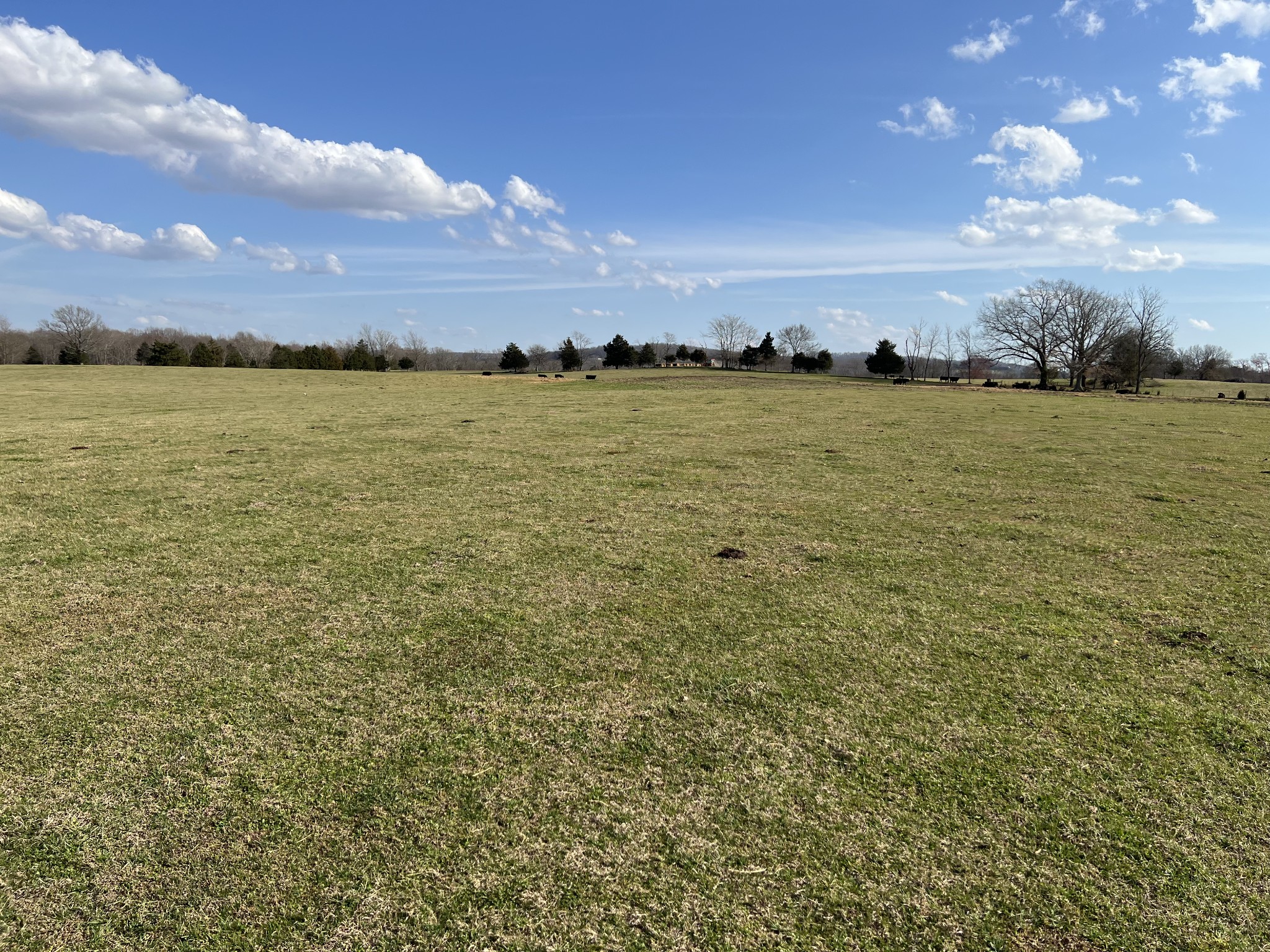 0 Zeb Warren Road Cookeville, TN 38506 - Photo 22 of 22 Gallery Image 22