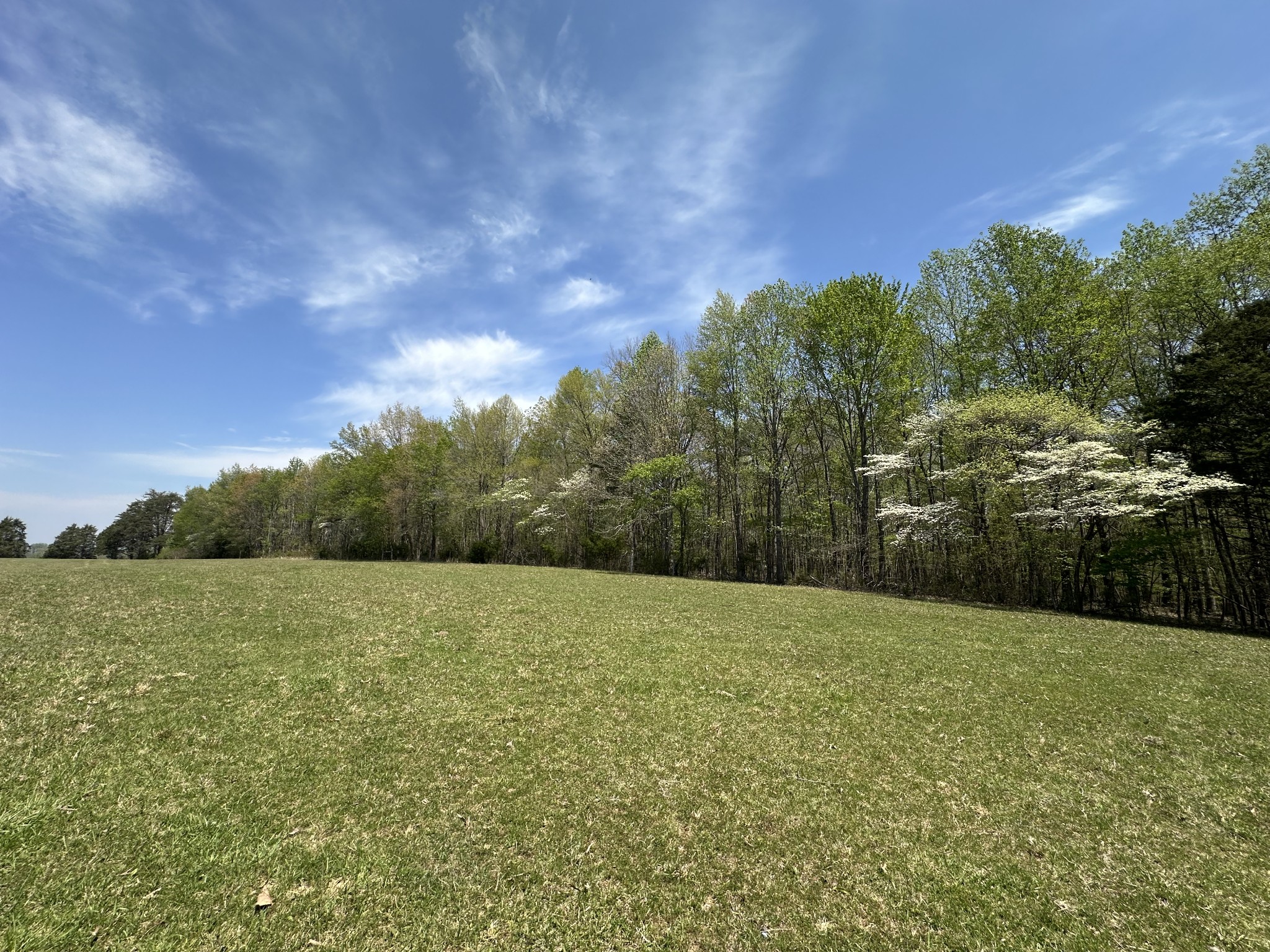 0 Zeb Warren Road Cookeville, TN 38506 - Photo 4 of 22 Gallery Image 4