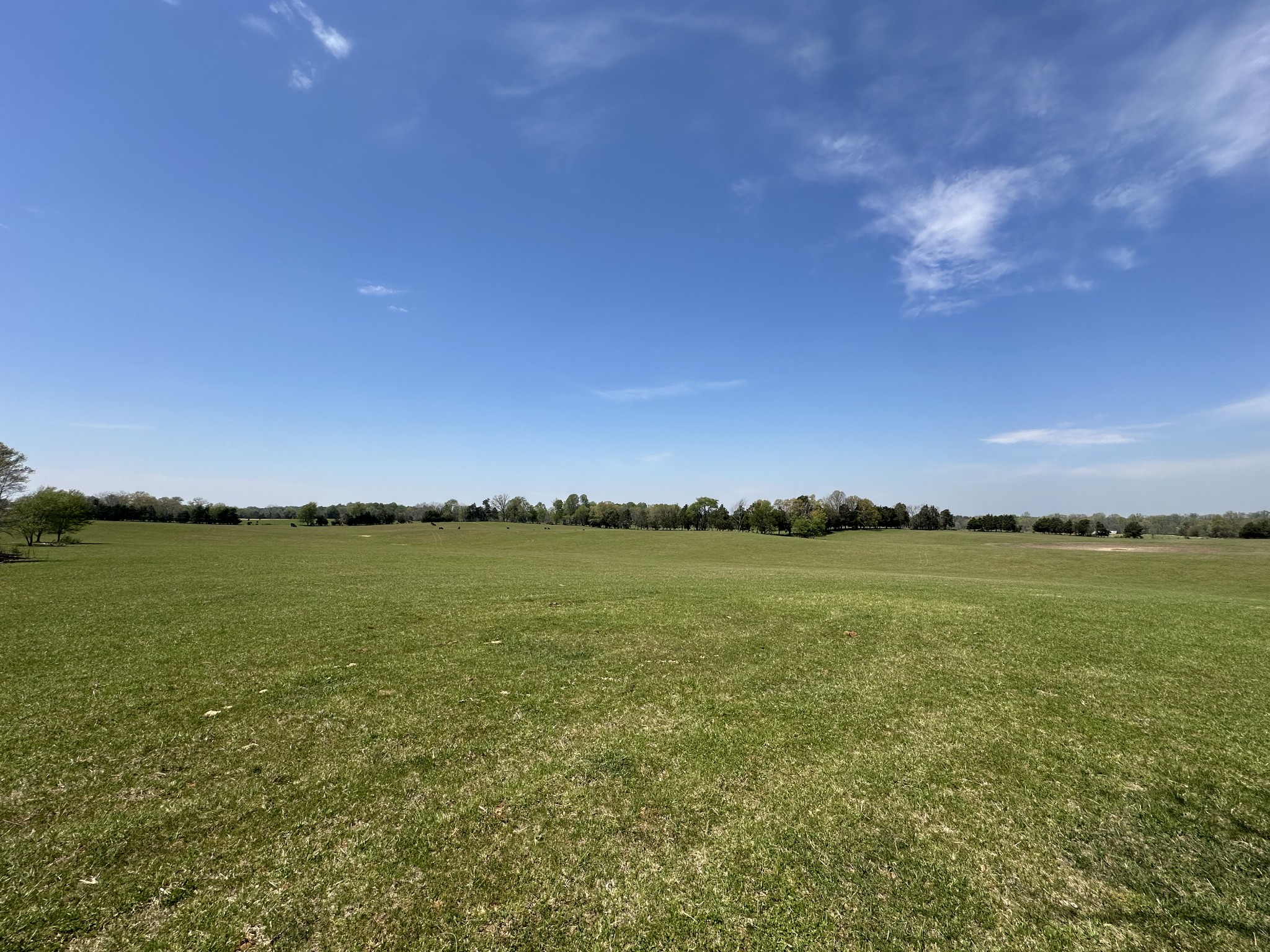 0 Zeb Warren Road Cookeville, TN 38506 - Photo 6 of 22 Gallery Image 6