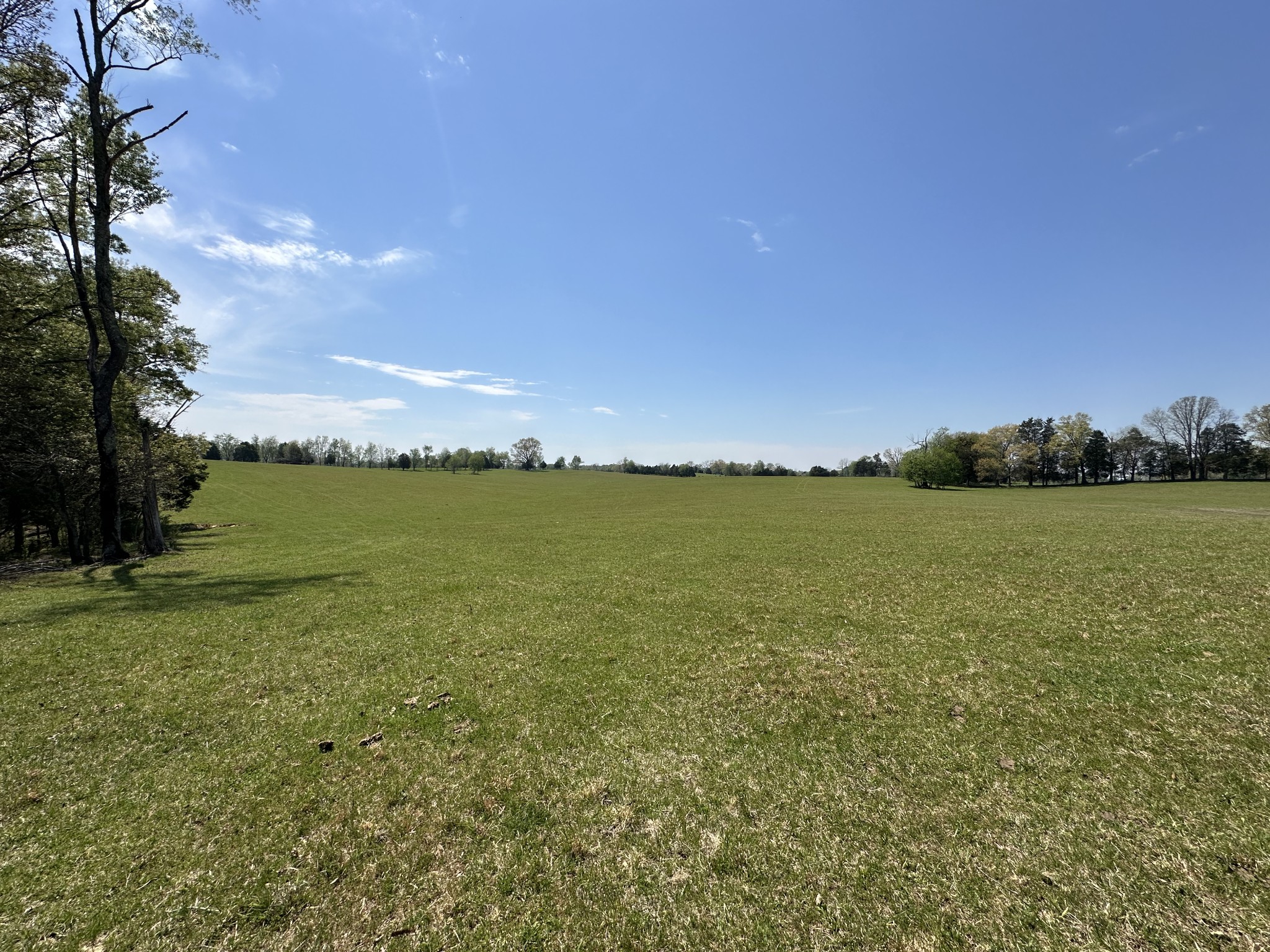 0 Zeb Warren Road Cookeville, TN 38506 - Photo 7 of 22 Gallery Image 7