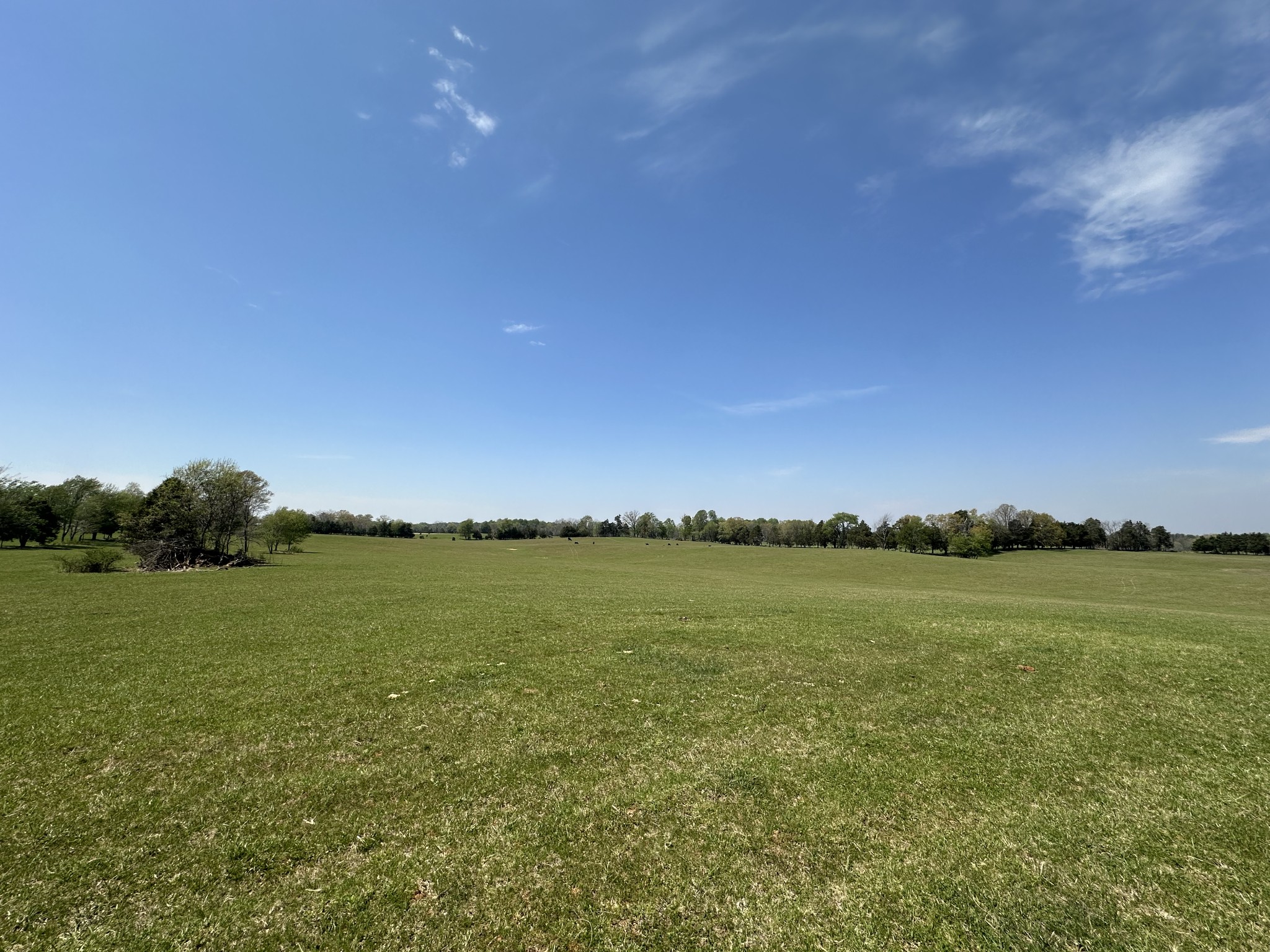 0 Zeb Warren Road Cookeville, TN 38506 - Photo 9 of 22 Gallery Image 9