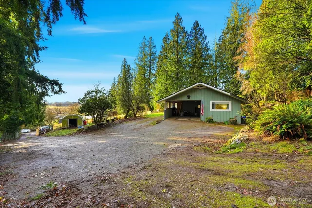 a dirt road with trees in the background