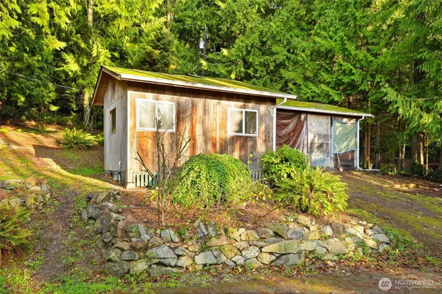 a view of a backyard with plants and large trees