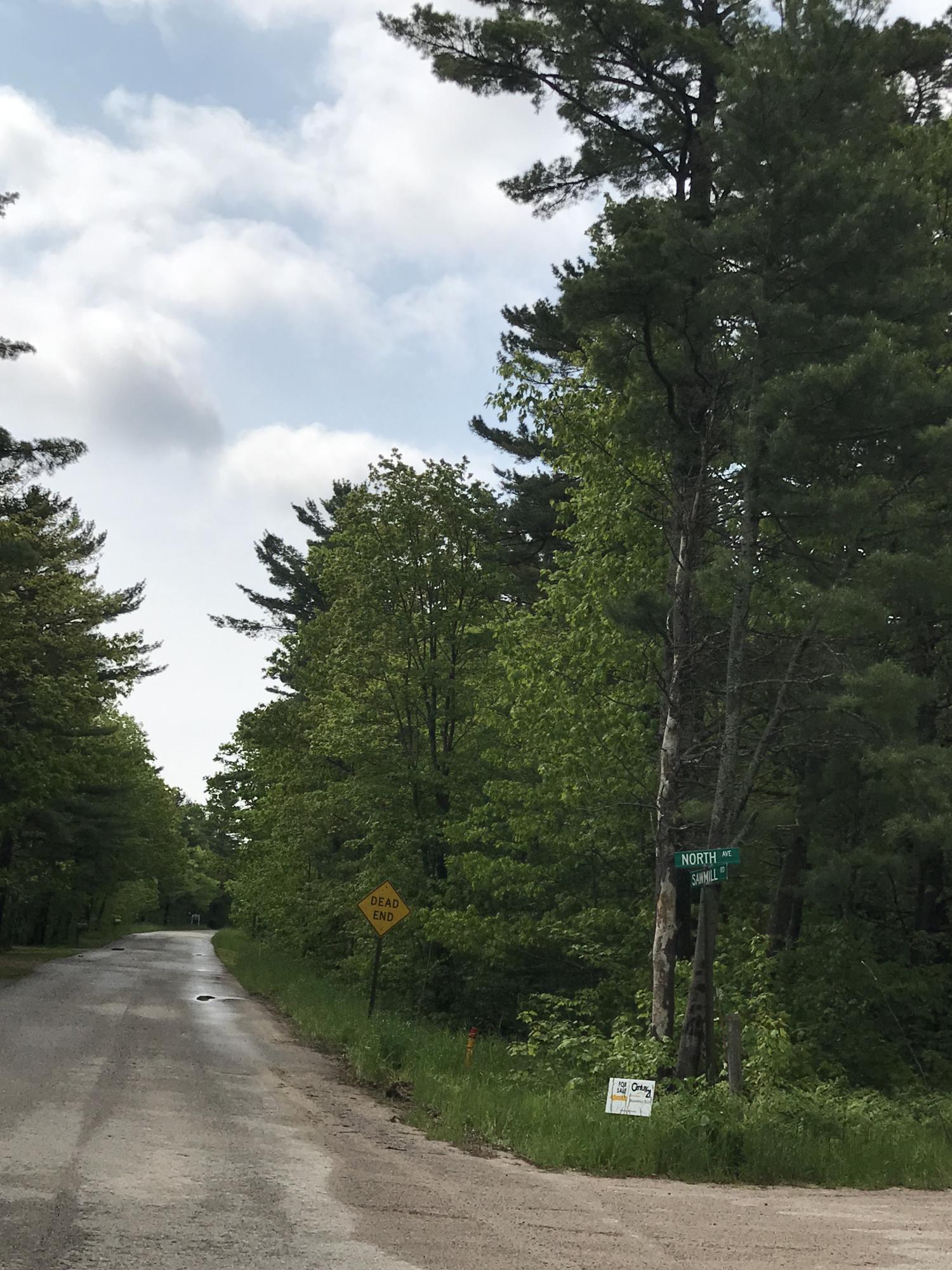 4871 Sawmill Point Road Brimley, MI 49715 - Photo 25 of 33 Gallery Image 25