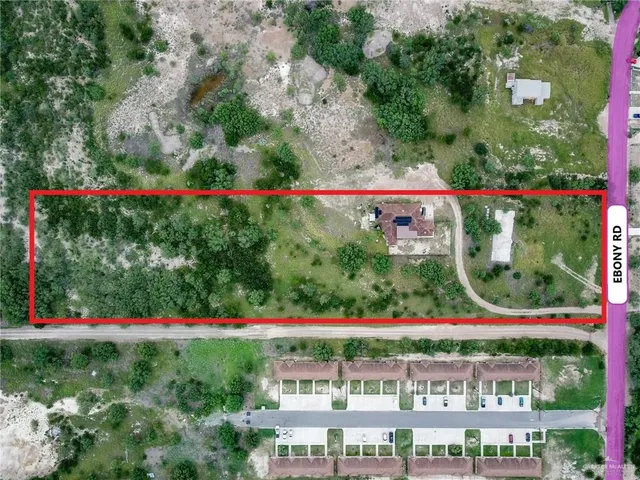 an outdoor view from a garden