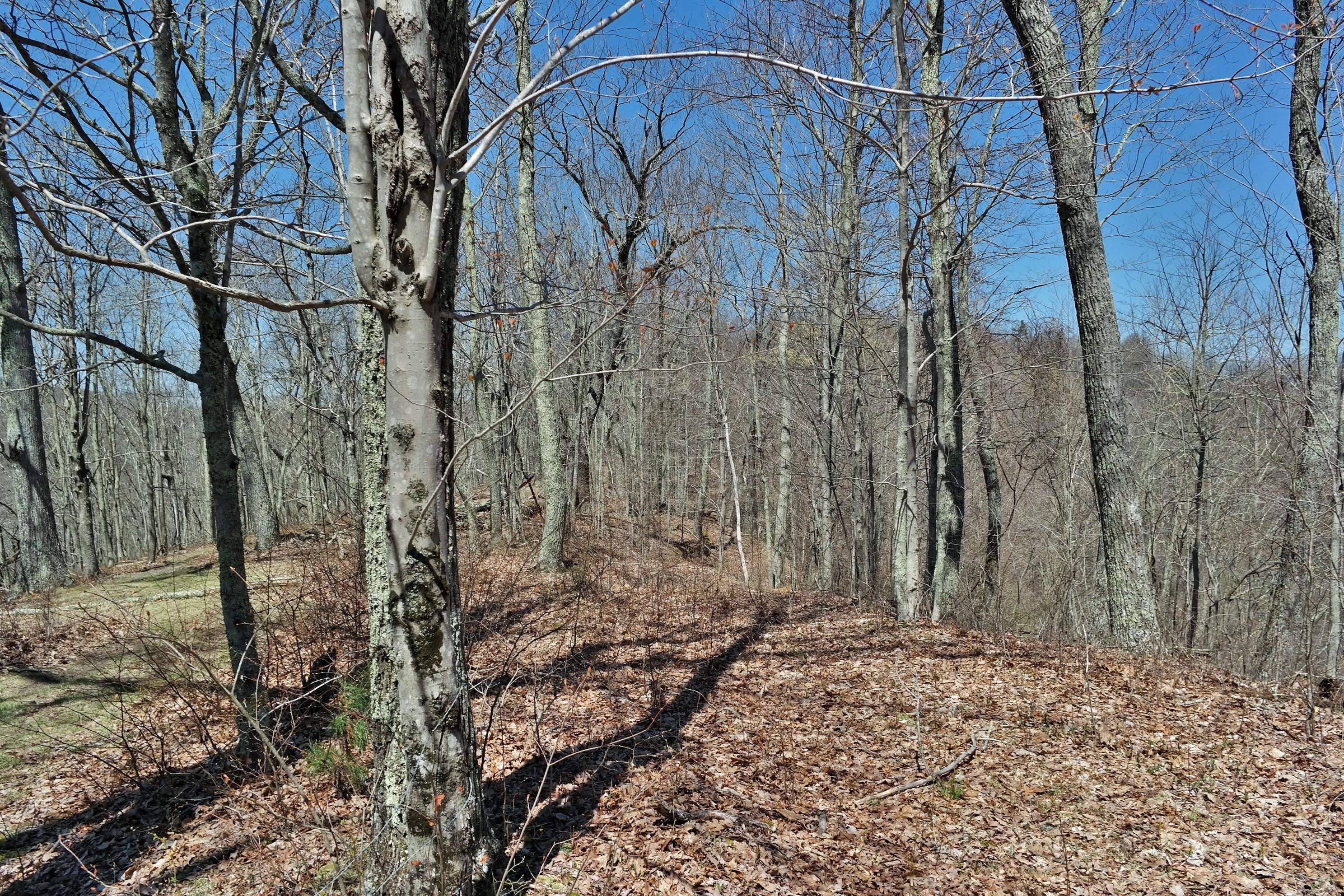 3678 Snake Run Road Alderson, WV 24910 - Photo 54 of 124 Gallery Image 54