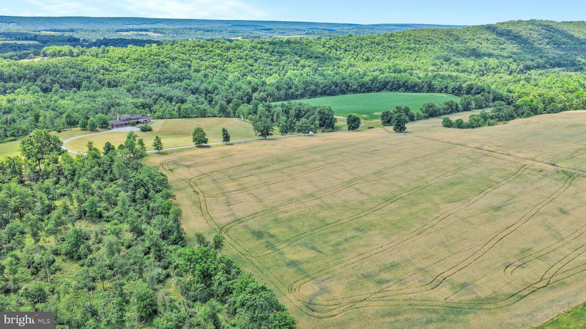 76 Zehner Road Landingville, PA 17972 - Photo 12 of 79 Aerial