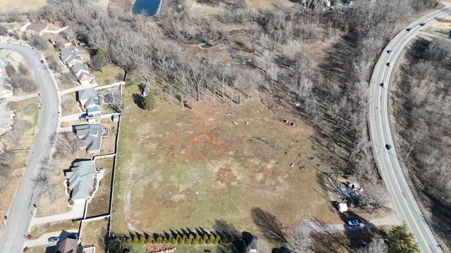 a view of a back yard