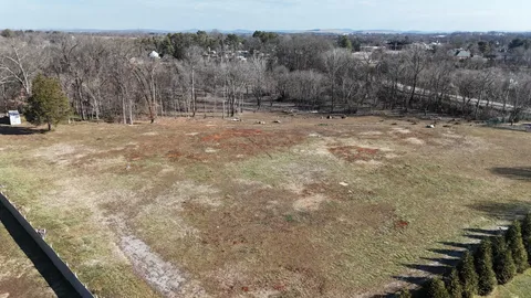 a big yard with large trees