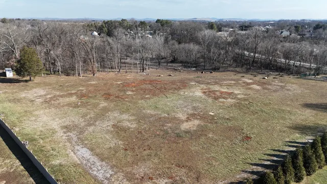 a big yard with large trees