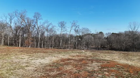 a view of a yard with trees