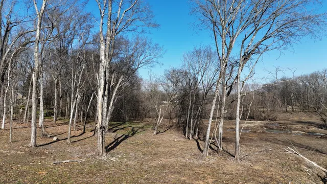 an aerial view of field with trees