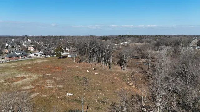 a view of a lot of trees in the background