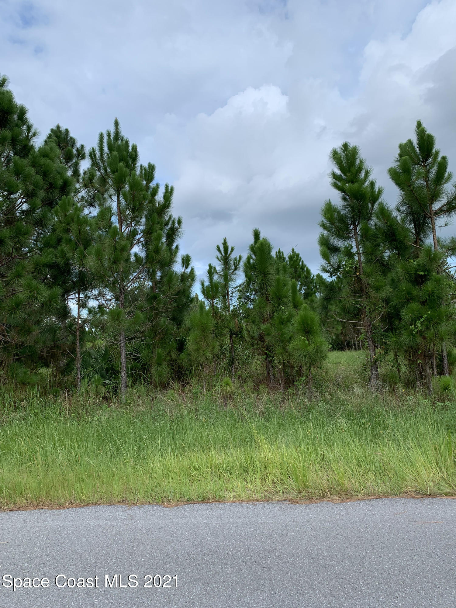 3116 Tilden Road Southeast, Unit 5 Palm Bay, FL 32909 - Photo 1 of 1 Vacant Lot Photo
