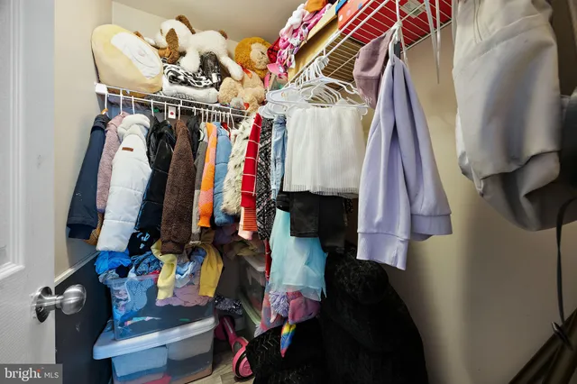 a view of walk in closet with clothes and shoes