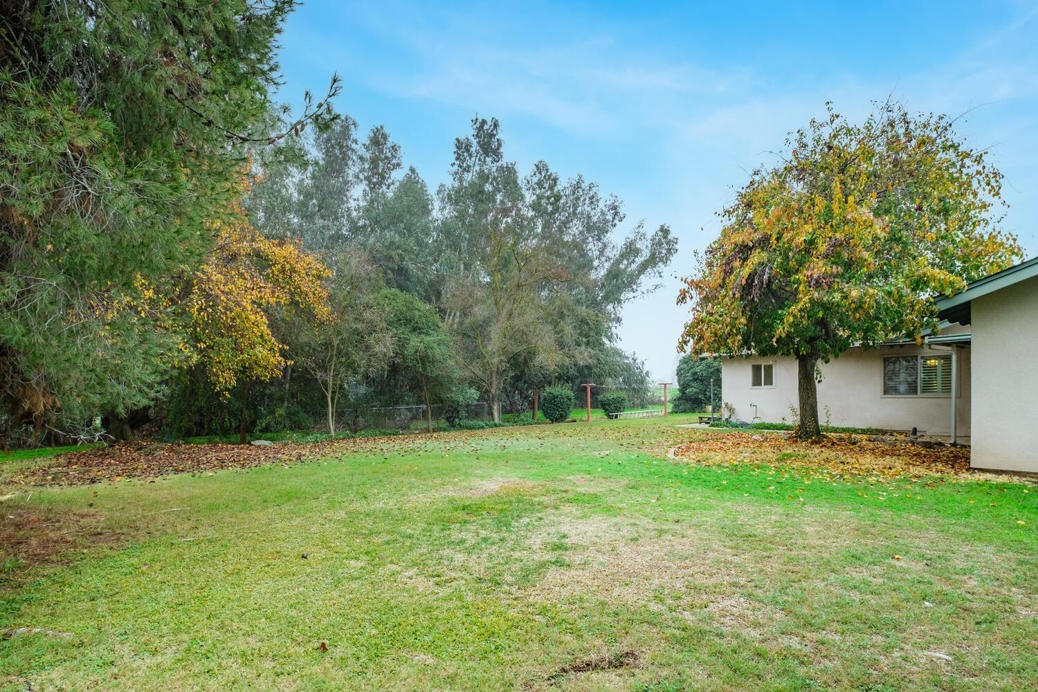 21341 Manning Avenue Reedley, CA 93654 - Photo 4 of 41 Gallery Image 4