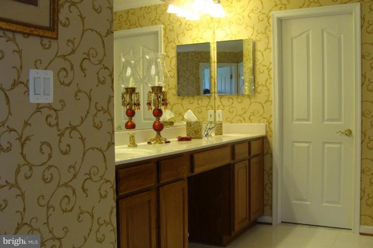 1075 Priestford Road Street, MD 21154 - Photo 7 of 28 Master Bath