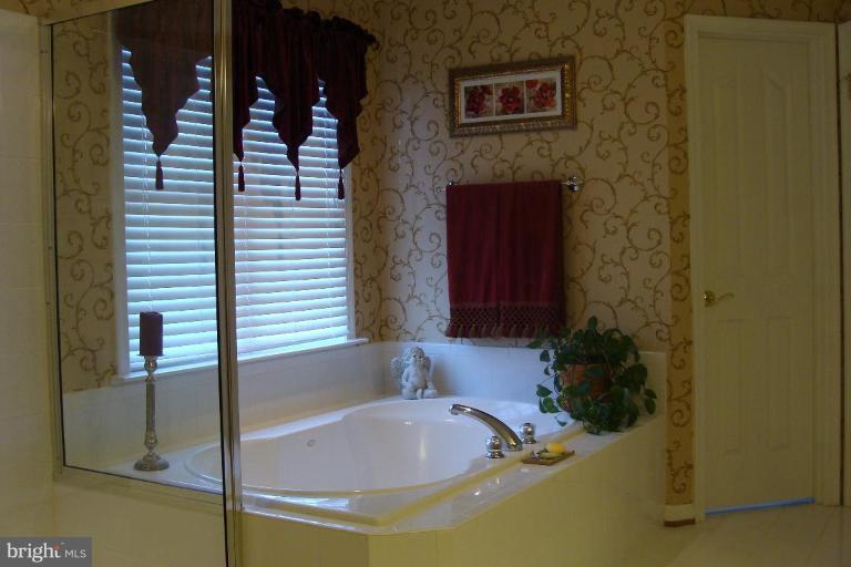 1075 Priestford Road Street, MD 21154 - Photo 8 of 28 Master Bath #2
