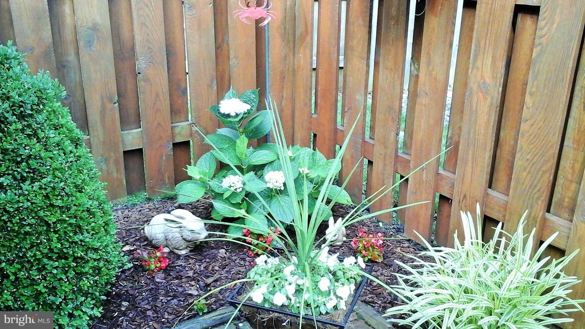 302 Edgemere Drive Annapolis, MD 21403 - Photo 5 of 27 Exterior (Rear)