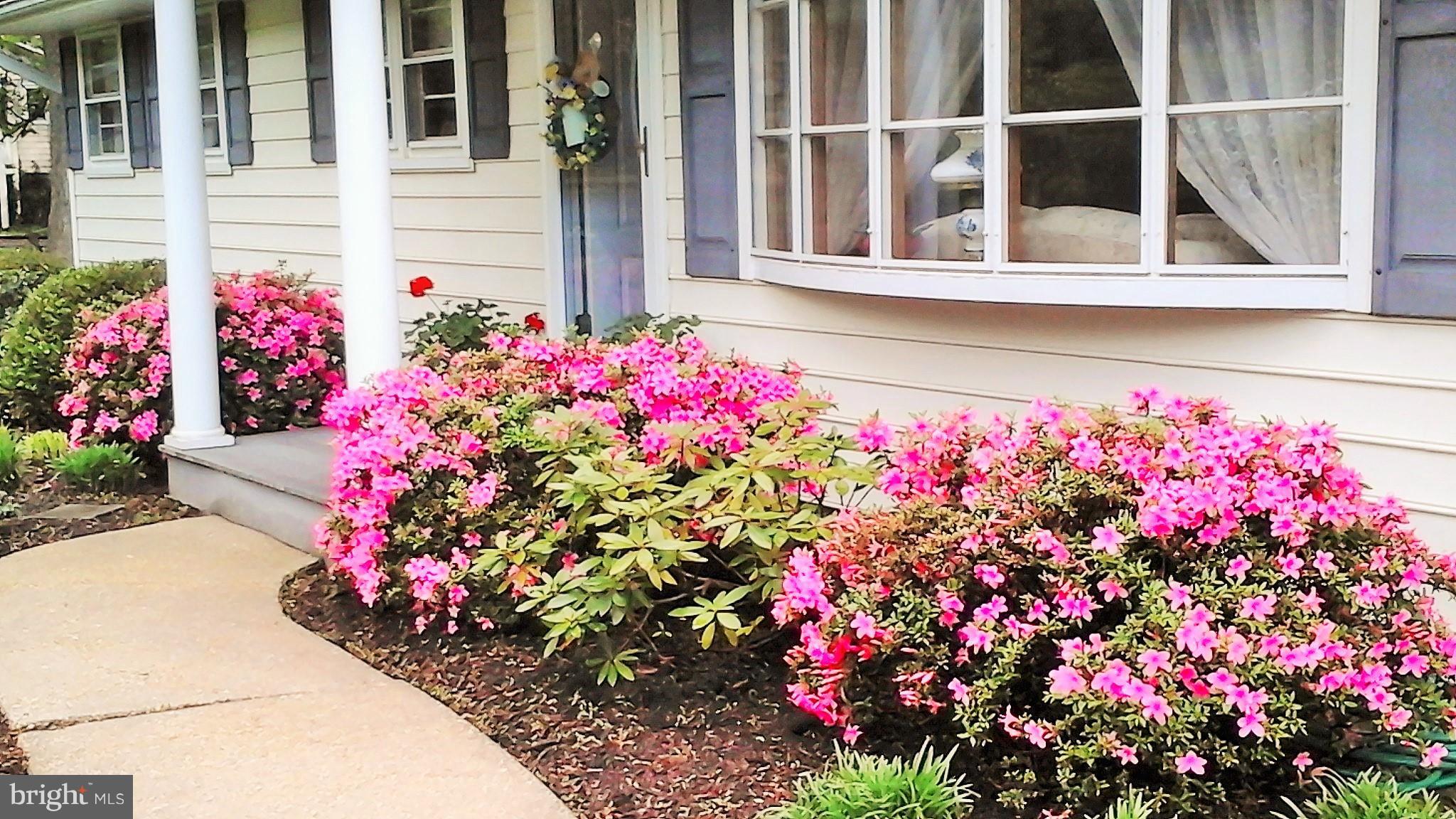 302 Edgemere Drive Annapolis, MD 21403 - Photo 7 of 27 Exterior (Front)