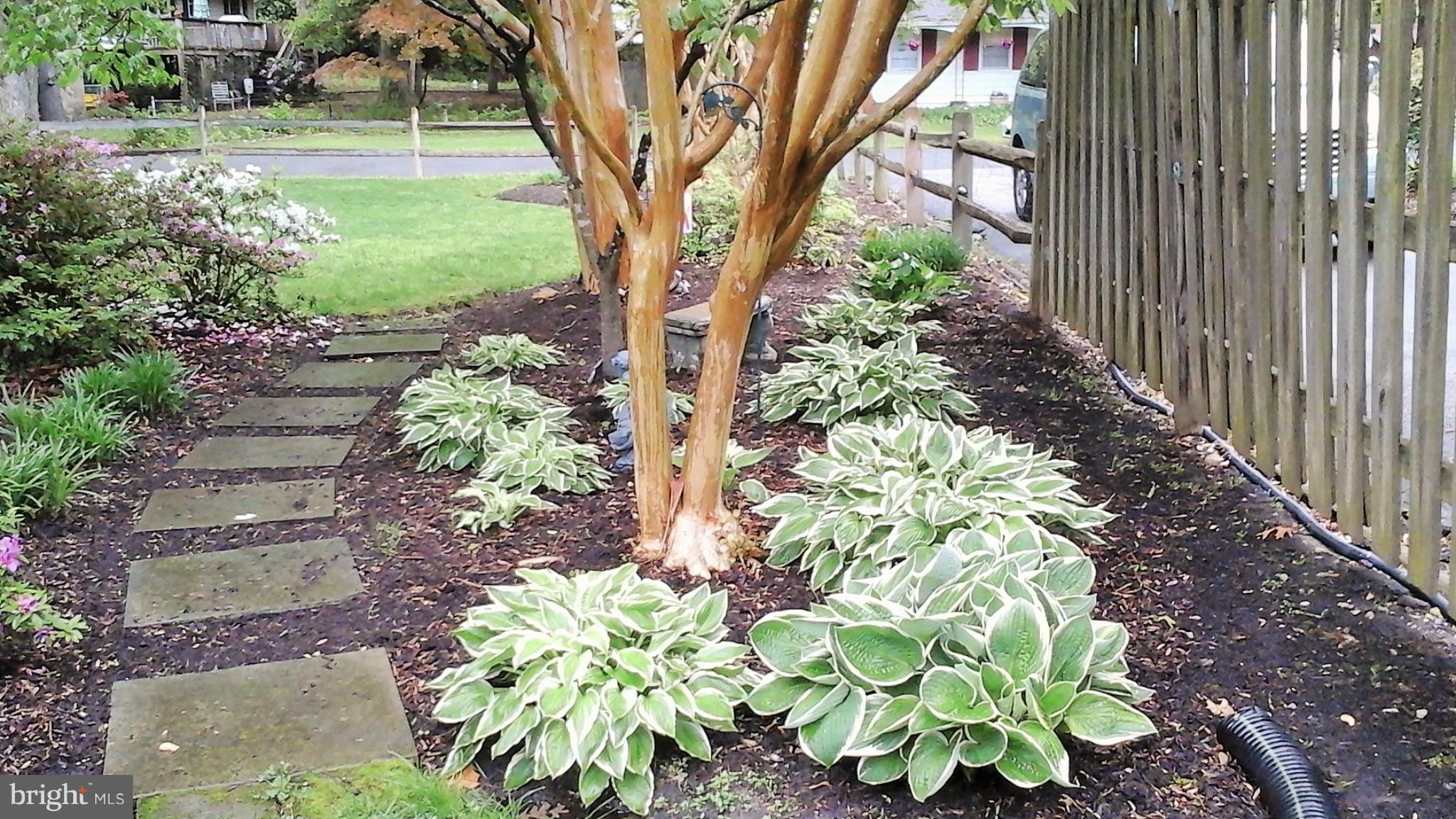 302 Edgemere Drive Annapolis, MD 21403 - Photo 9 of 27 Exterior (Rear)