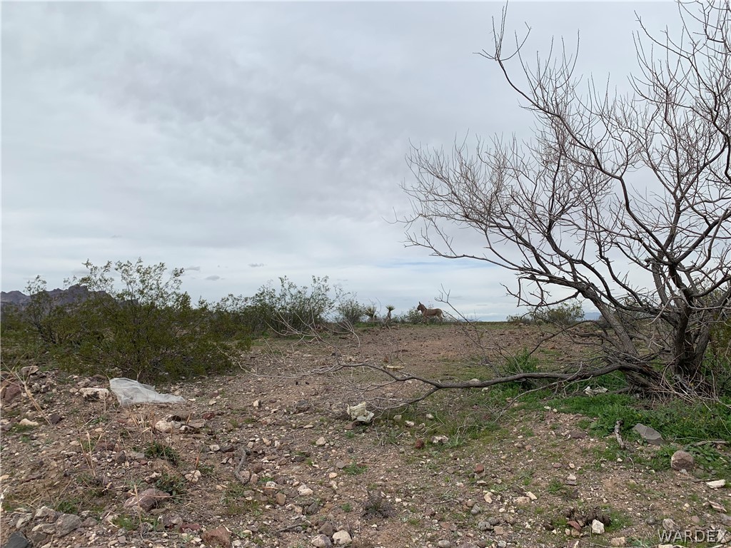 Tbd Ocotillo Road Golden Valley, AZ 86413 - Photo 6 of 13