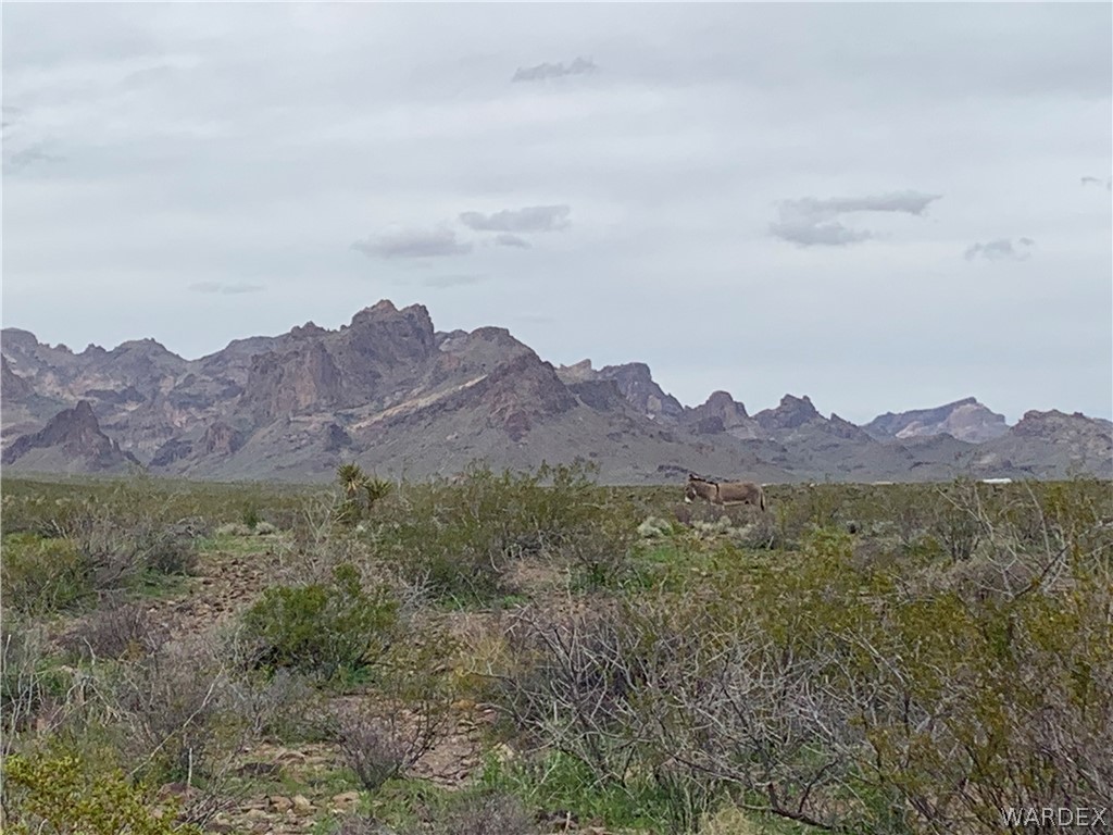 Tbd Ocotillo Road Golden Valley, AZ 86413 - Photo 7 of 13