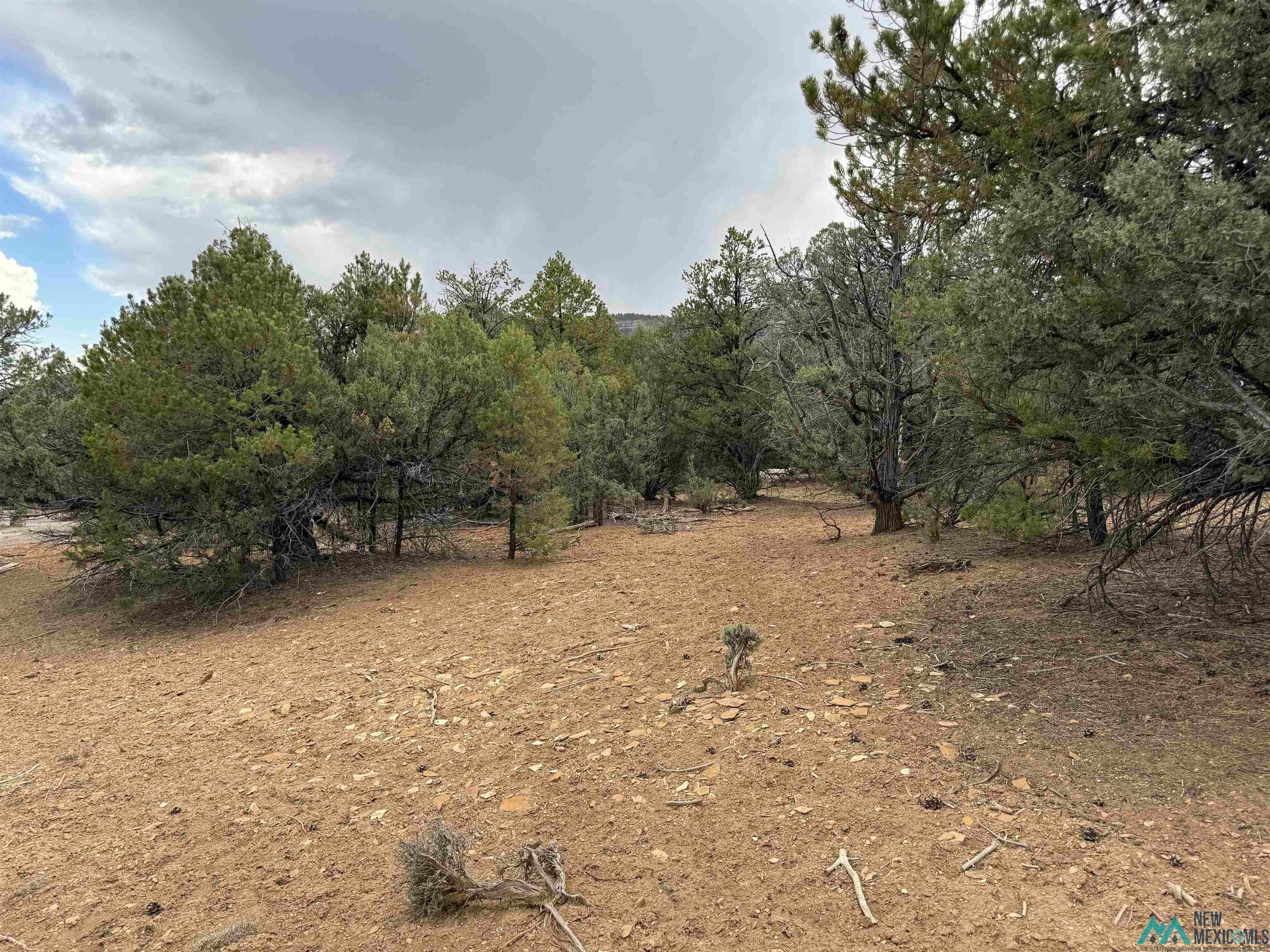 0 Pinon Ridge Los Ojos, NM 87551 - Photo 1 of 6 Gallery Image 1