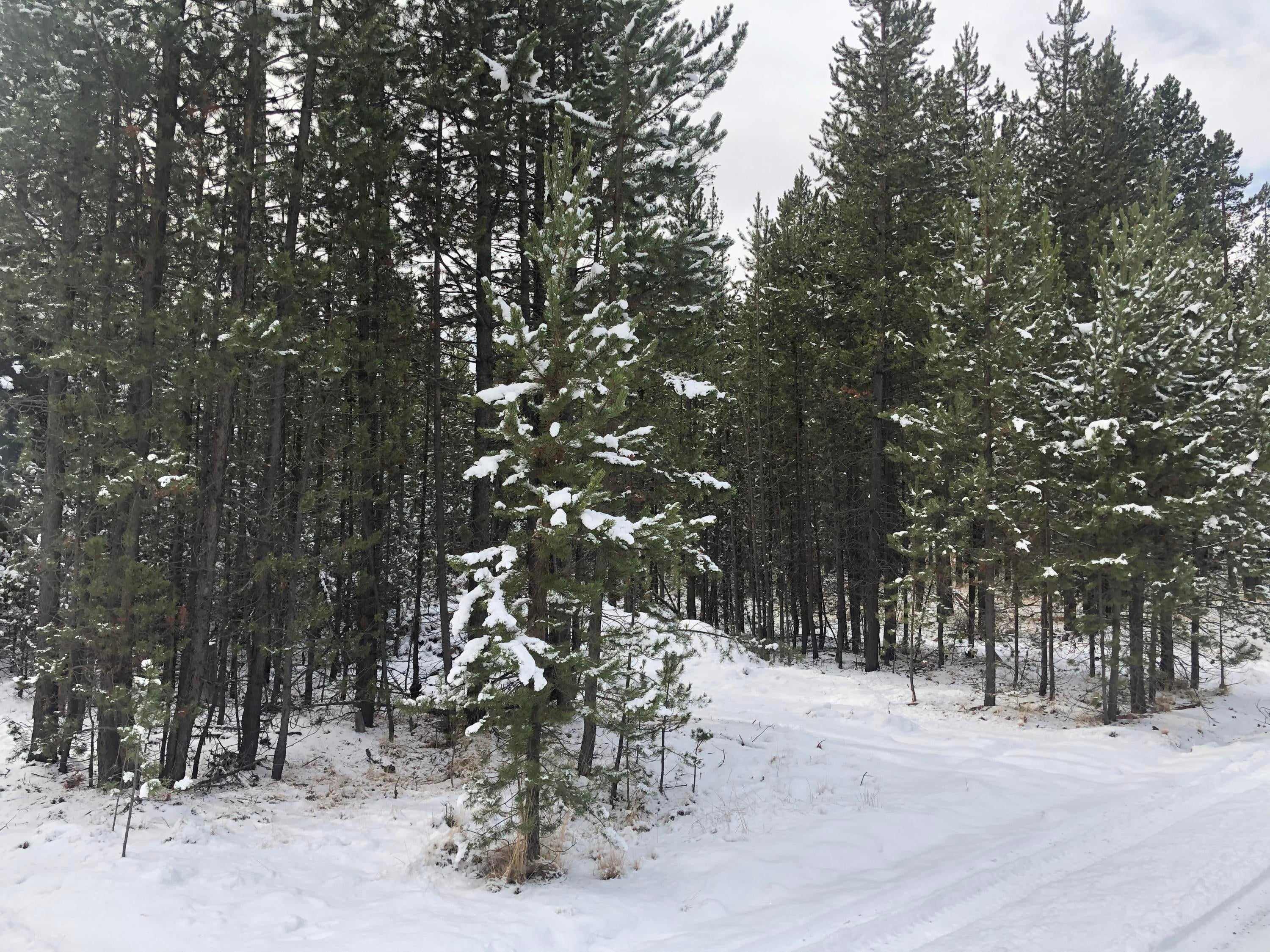 17057 Jacinto Road Bend, OR 97707 - Photo 1 of 1 Street View