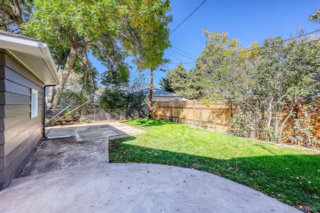 a view of a yard with plants and a trees
